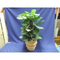 Artificial Plant with Clay Pot